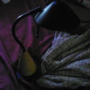A portable lamp